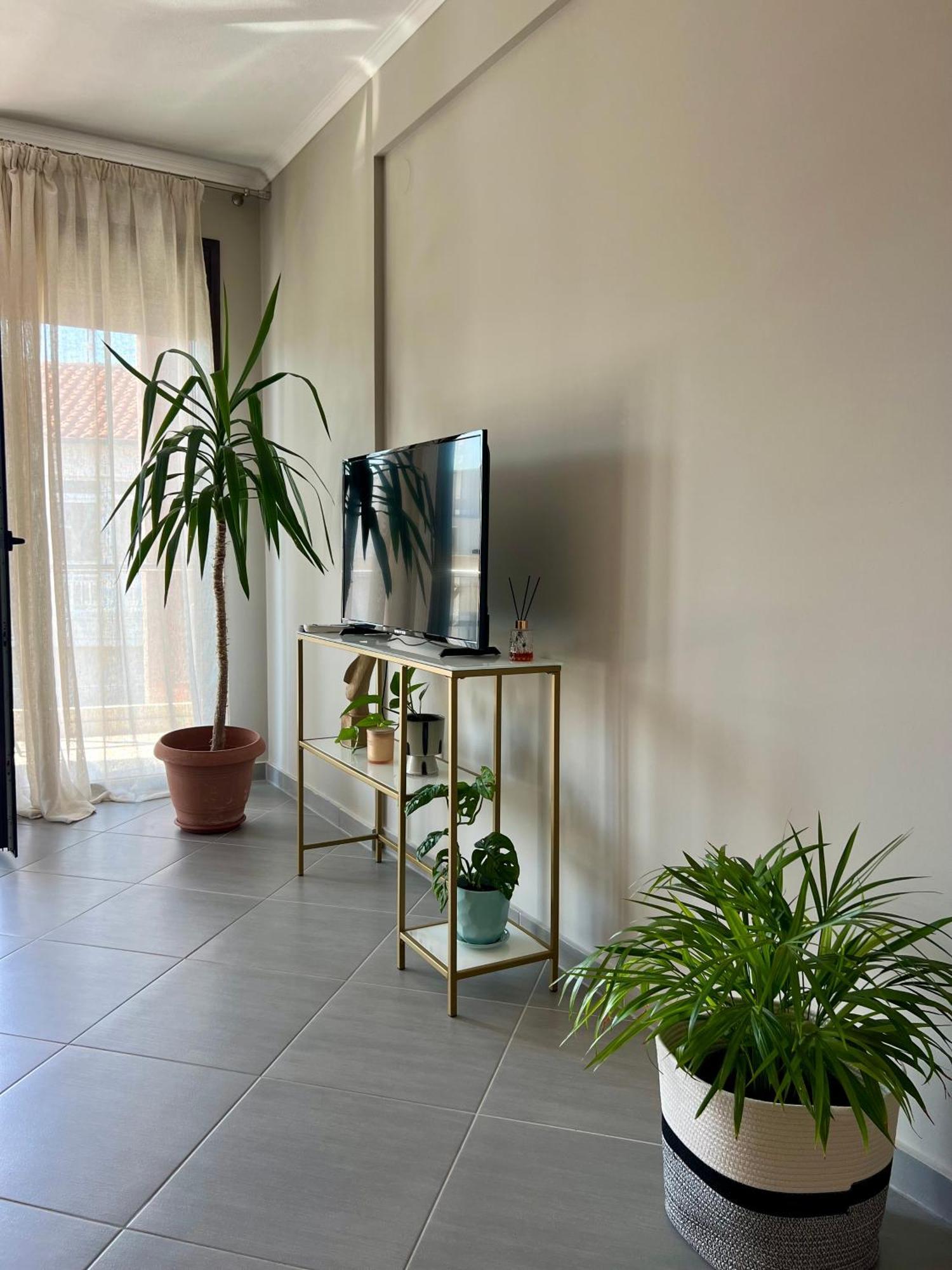 Apartment Snappyb Living Spaces